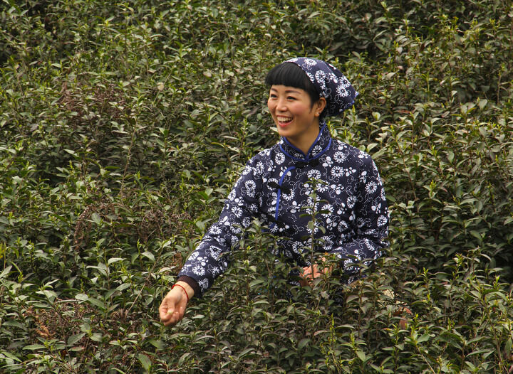 禁室胶片